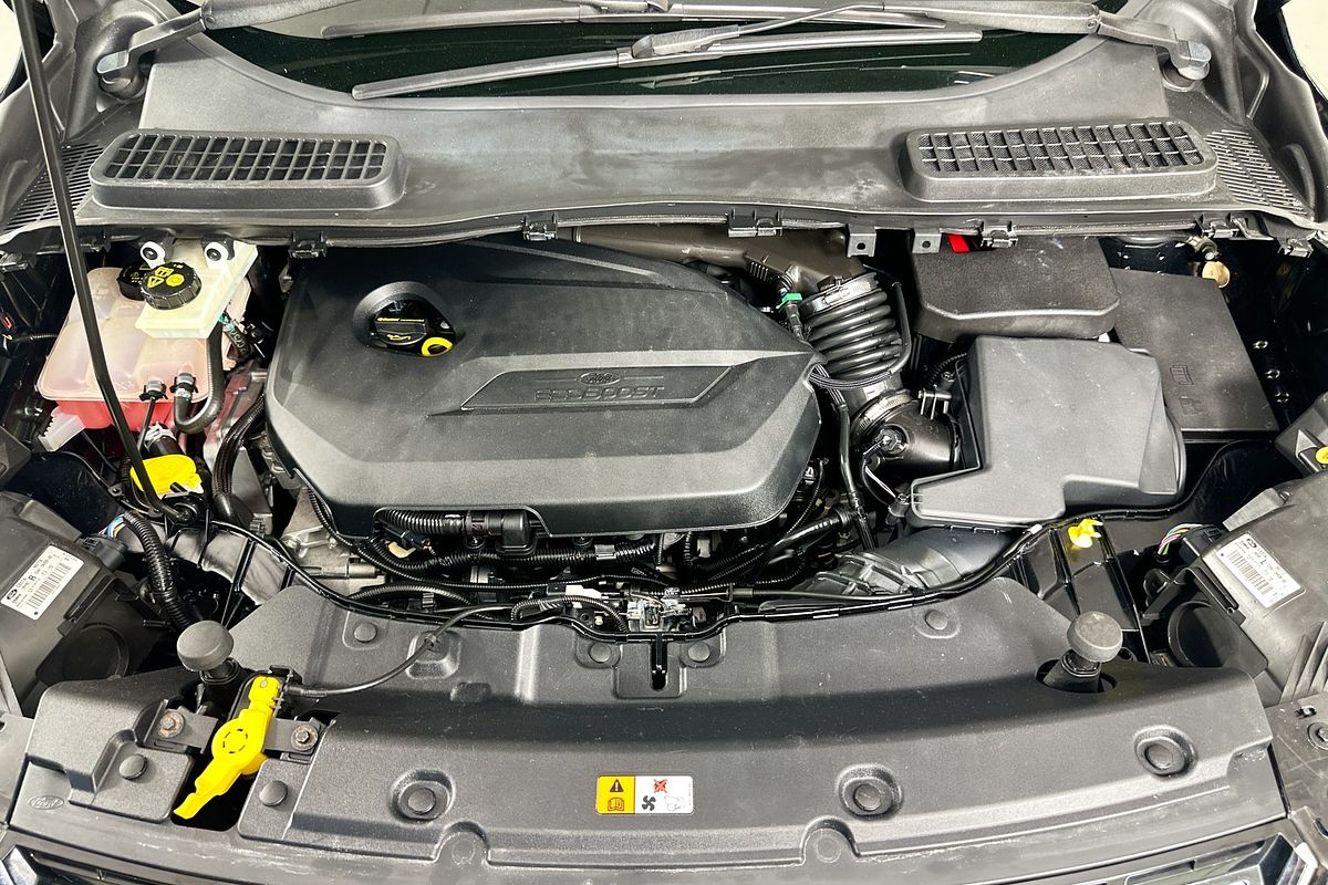 2013 Ford KUGA TREND (AWD) TF