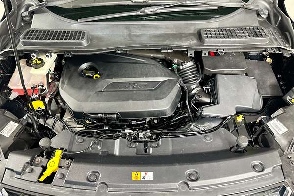 2013 Ford KUGA TREND (AWD) TF