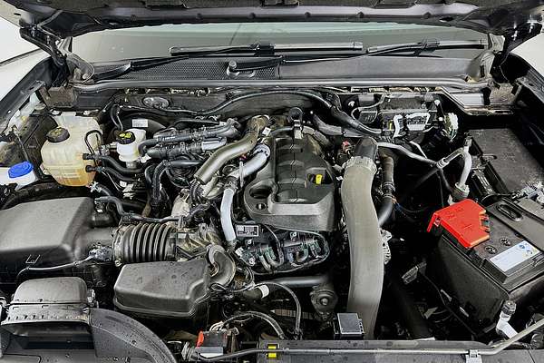 2024 Ford Ranger XL 2.0 (4x4) PY MY24 4X4 2.0L
