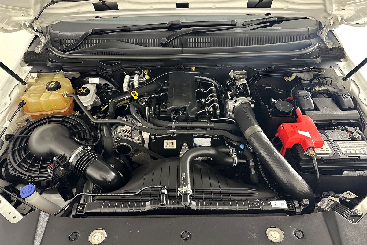 2019 Ford RANGER XL 2.2 HI-RIDER (4x2) PX MKIII MY19 REAR WHEEL DRIVE 2.2L