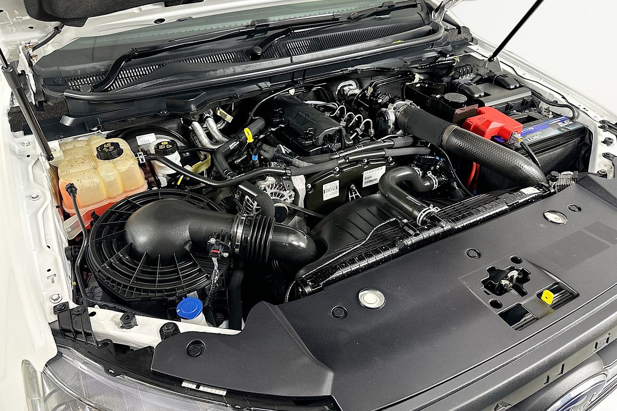 2021 Ford RANGER XL 2.2 HI-RIDER (4x2) PX MKIII MY21.25 REAR WHEEL DRIVE 2.2L