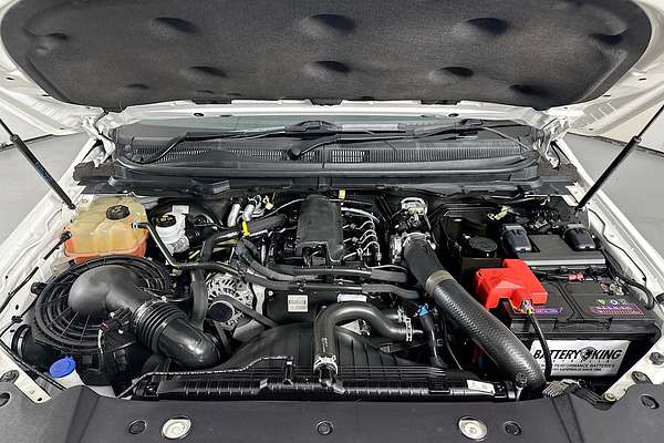 2019 Ford RANGER XL 2.2 HI-RIDER (4x2) PX MKIII MY19 REAR WHEEL DRIVE 2.2L