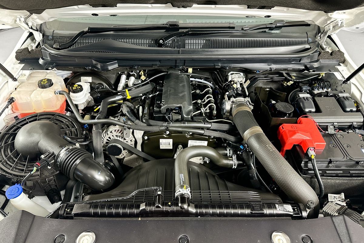 2019 Ford RANGER XL 2.2 HI-RIDER (4x2) PX MKIII MY19 REAR WHEEL DRIVE 2.2L