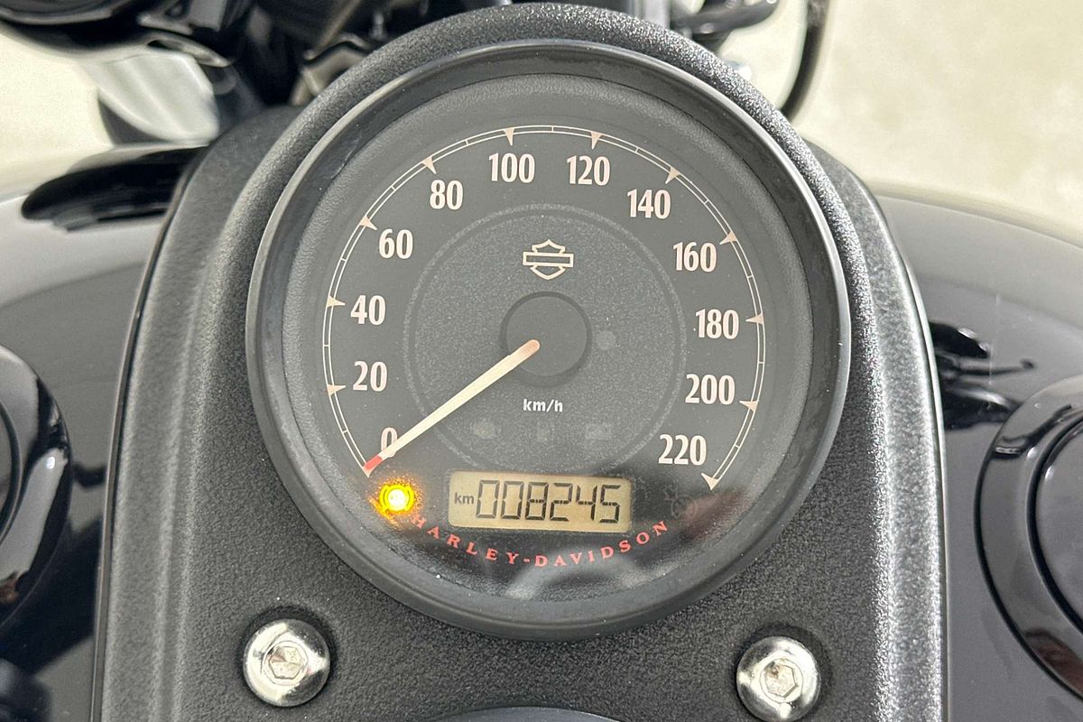 2017 Harley-Davidson Low Rider S FXDLS Series  110c.i 1802cc