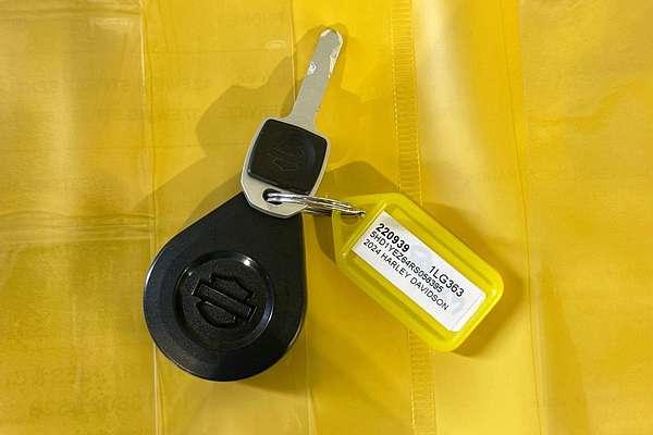 2024 Harley-Davidson Breakout 117 (FXBR) Softail