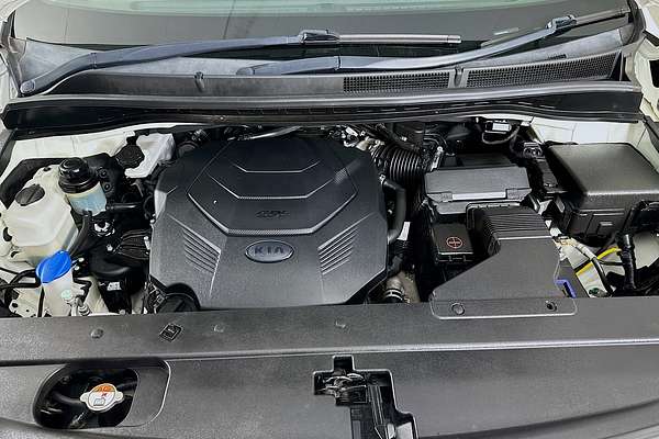 2019 Kia Carnival S YP