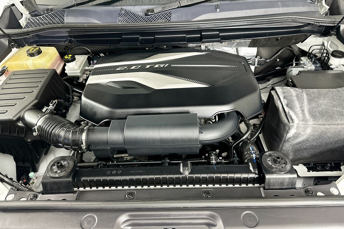 2023 LDV D90 (2WD) SV9A