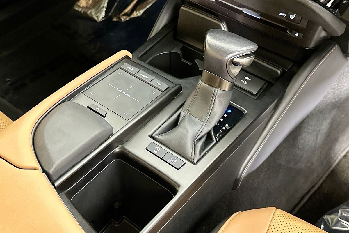 2022 Lexus ES250 LUXURY AXZA10R