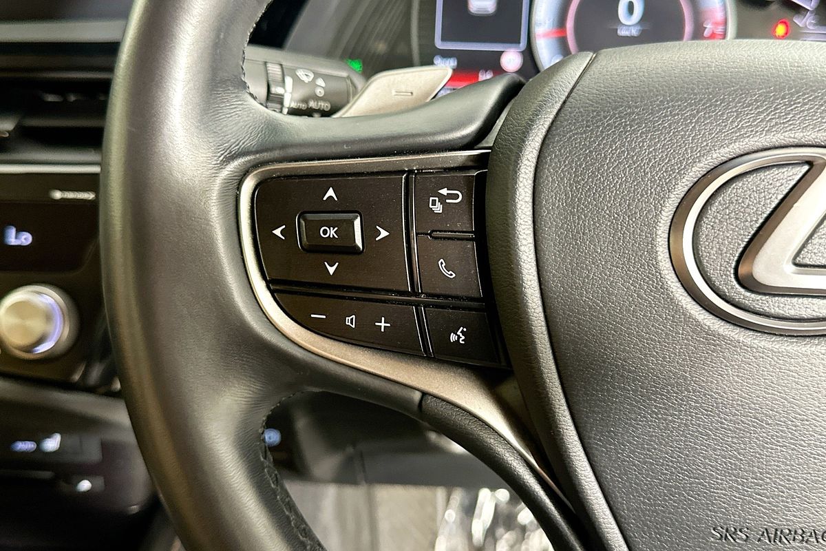 2022 Lexus ES250 LUXURY AXZA10R