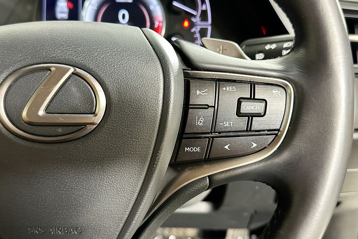 2022 Lexus ES250 LUXURY AXZA10R