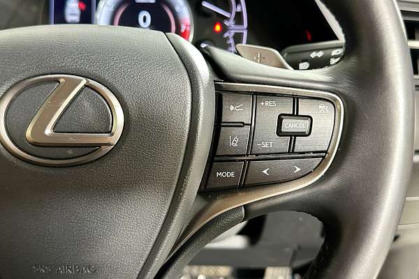 2022 Lexus ES250 LUXURY AXZA10R