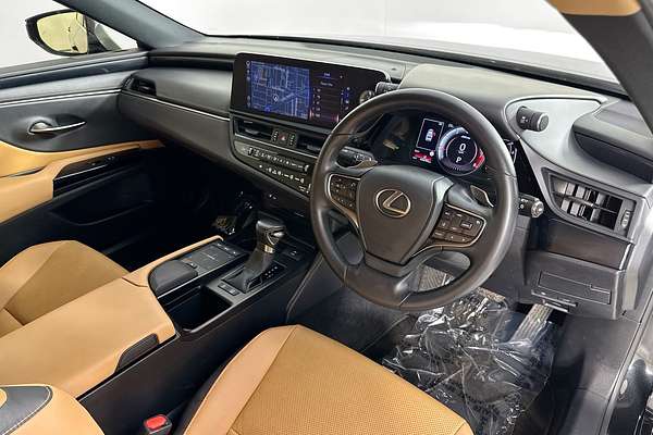 2022 Lexus ES250 LUXURY AXZA10R