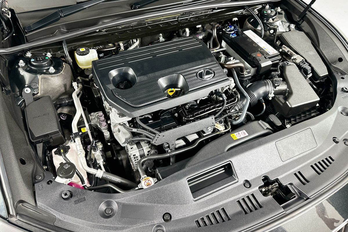 2022 Lexus ES250 LUXURY AXZA10R