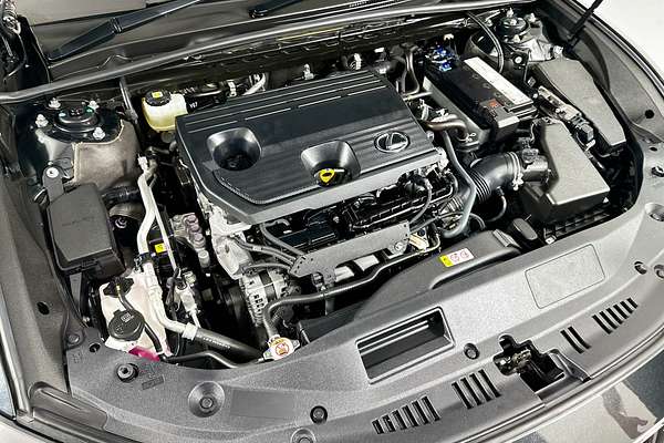 2022 Lexus ES250 LUXURY AXZA10R