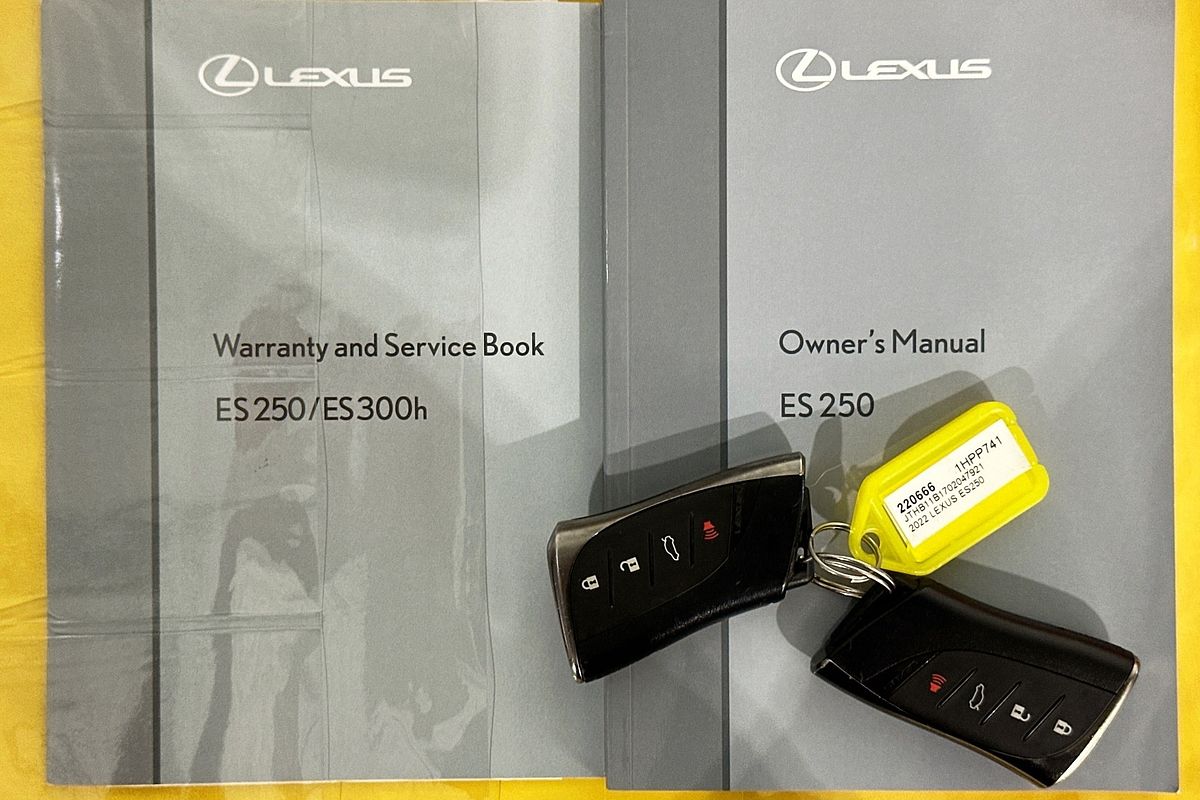 2022 Lexus ES250 LUXURY AXZA10R