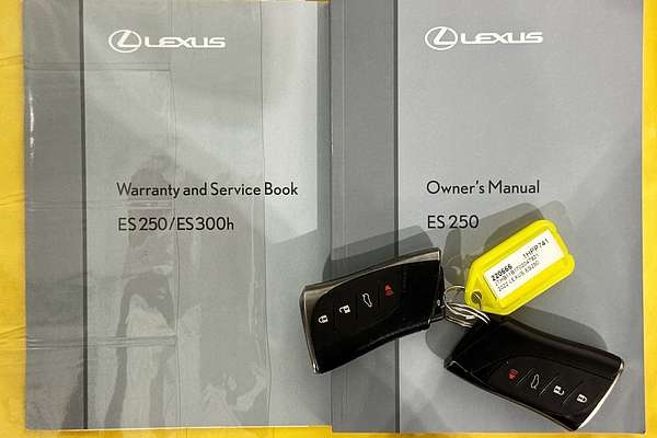 2022 Lexus ES250 LUXURY AXZA10R