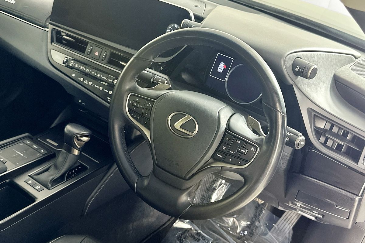 2021 Lexus ES250 LUXURY AXZA10R