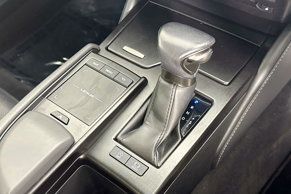 2021 Lexus ES250 LUXURY AXZA10R