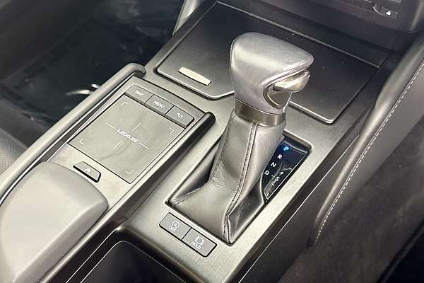 2021 Lexus ES250 LUXURY AXZA10R