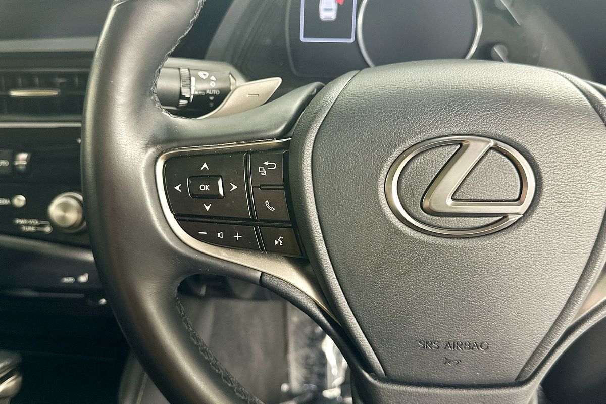 2021 Lexus ES250 LUXURY AXZA10R