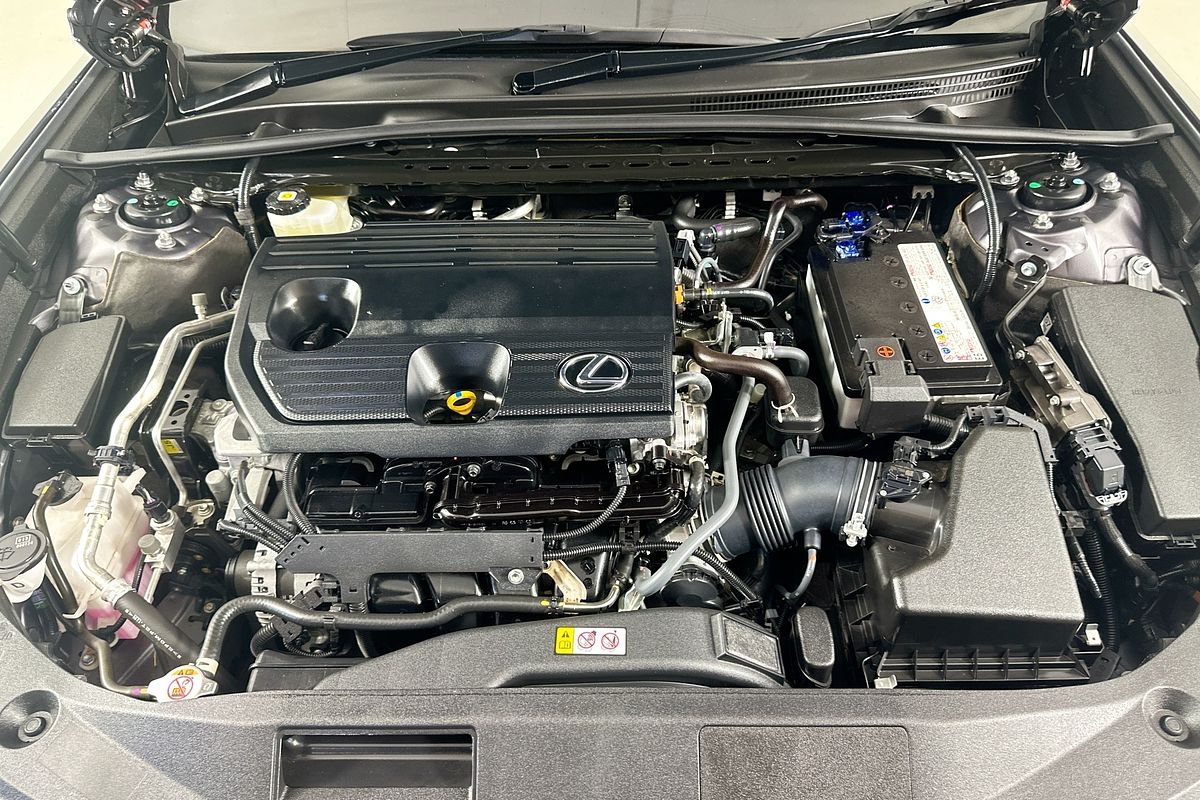2021 Lexus ES250 LUXURY AXZA10R