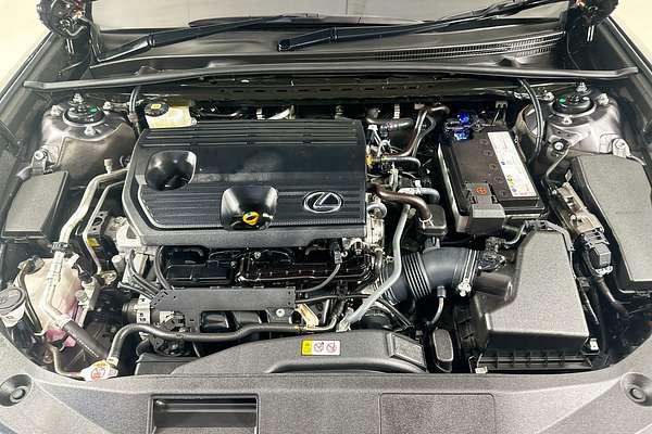 2021 Lexus ES250 LUXURY AXZA10R