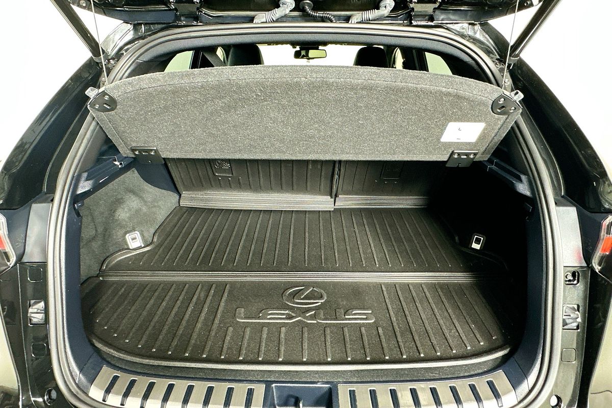 2020 Lexus NX300 F-SPORT (AWD) AGZ15R