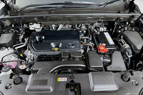 2023 Lexus NX250 2WD AAZA20R