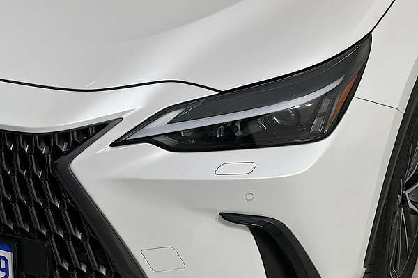 2023 Lexus NX250 2WD AAZA20R