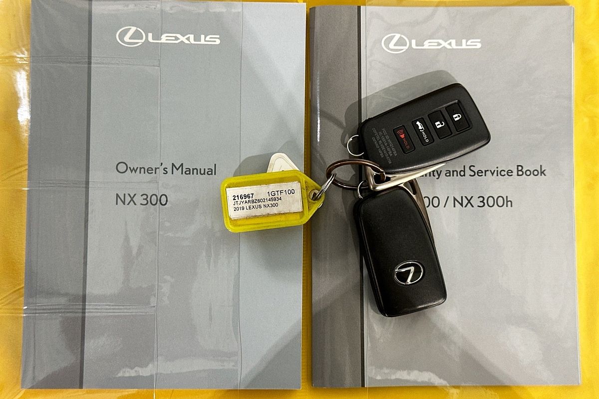 2019 Lexus NX300 LUXURY (FWD) AGZ10R