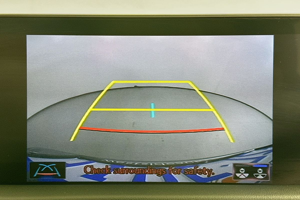 2022 Lexus RX300 LUXURY AGL20R