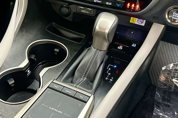 2022 Lexus RX300 LUXURY AGL20R