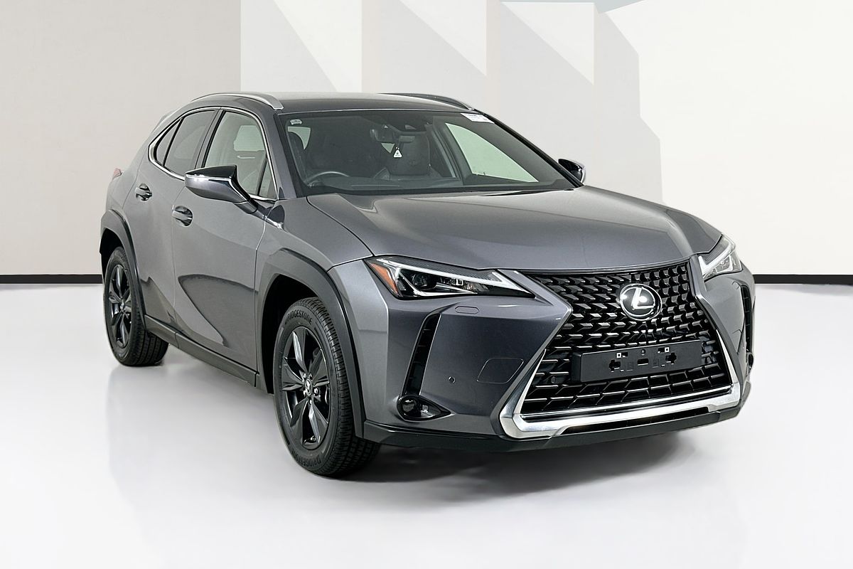 2022 Lexus UX LUXURY MZAA10R