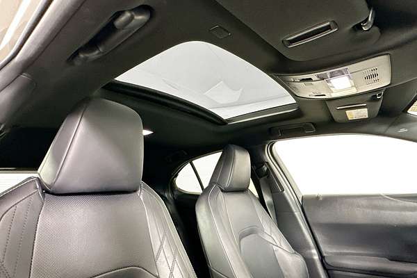 2019 Lexus UX250h SPORTS LUX +EP1 HYBRID (AWD) MZAH15R