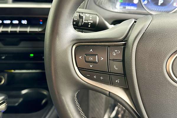 2022 Lexus UX LUXURY MZAA10R