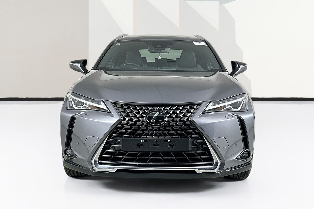 2022 Lexus UX LUXURY MZAA10R