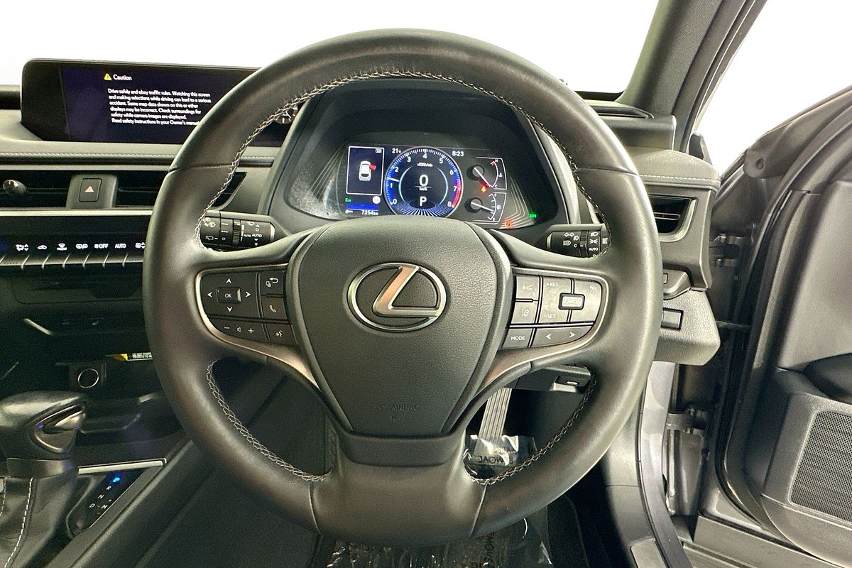 2022 Lexus UX LUXURY MZAA10R