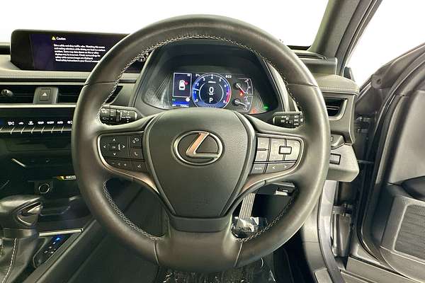 2022 Lexus UX LUXURY MZAA10R