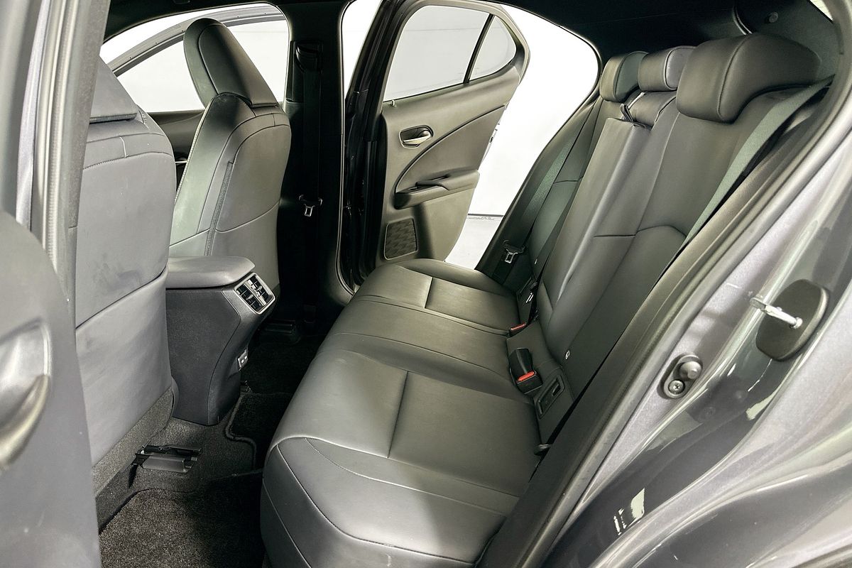 2022 Lexus UX LUXURY MZAA10R