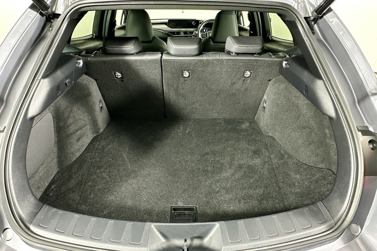 2022 Lexus UX LUXURY MZAA10R