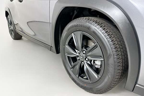 2022 Lexus UX LUXURY MZAA10R