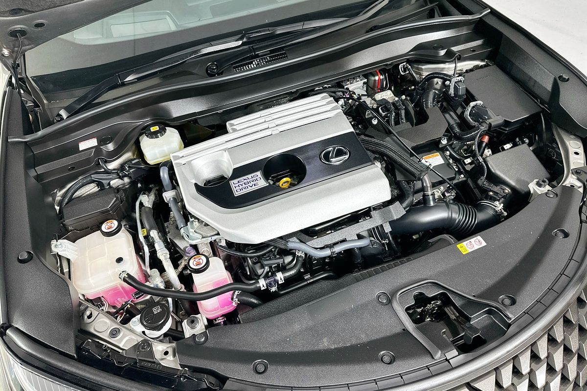 2019 Lexus UX250h SPORTS LUX +EP1 HYBRID (AWD) MZAH15R