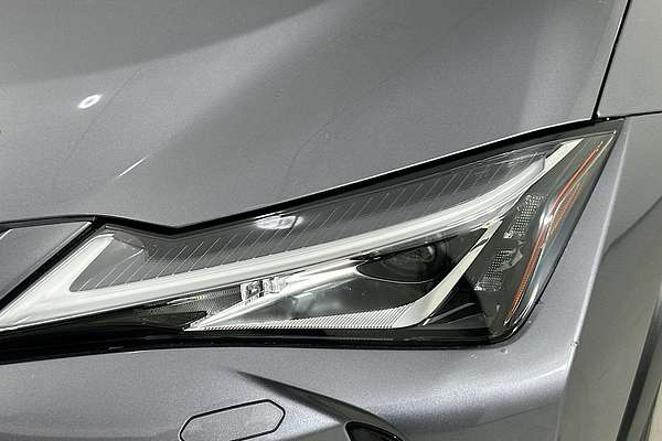 2022 Lexus UX LUXURY MZAA10R