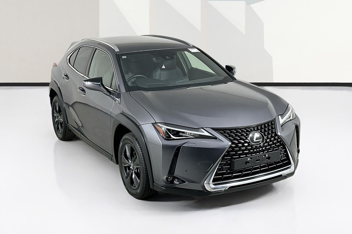 2022 Lexus UX LUXURY MZAA10R