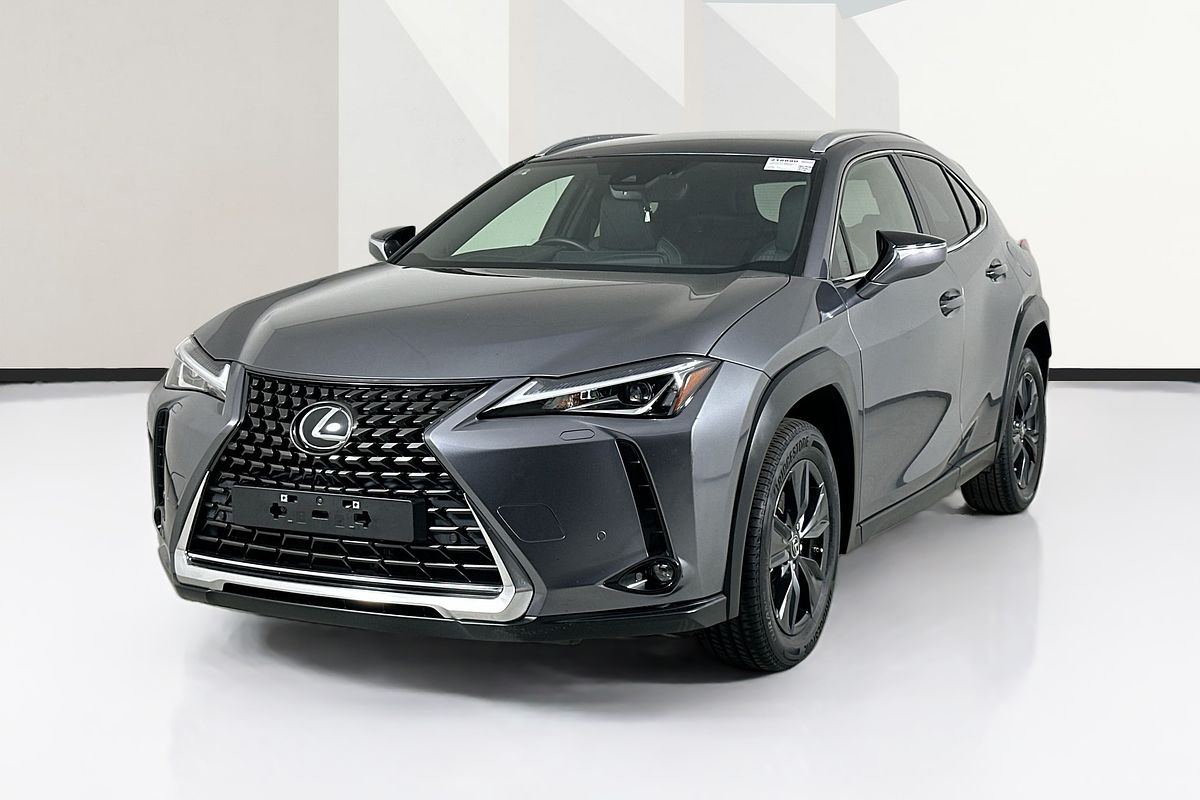 2022 Lexus UX LUXURY MZAA10R