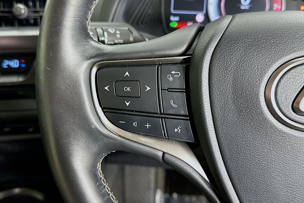 2020 Lexus UX LUXURY HYBRID MZAH10R
