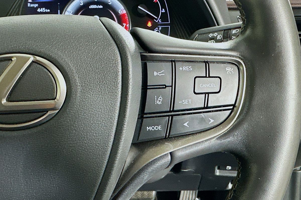 2020 Lexus UX LUXURY HYBRID MZAH10R