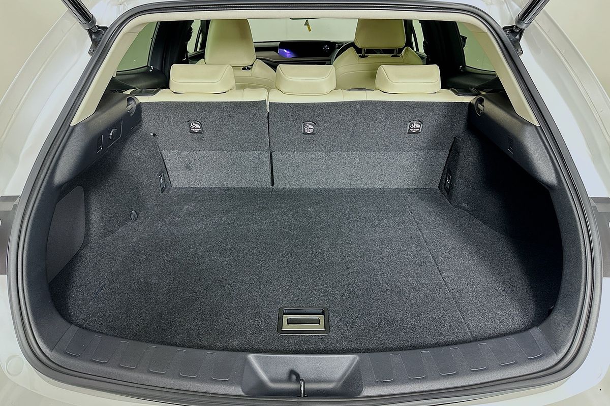 2020 Lexus UX LUXURY HYBRID MZAH10R