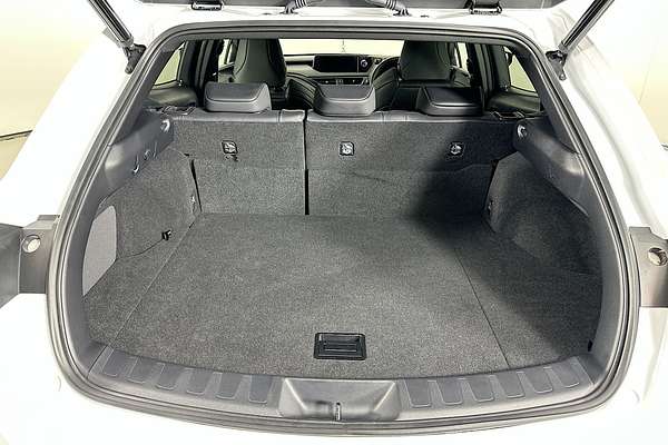 2022 Lexus UX250h F SPORT HYBRID MZAH10R