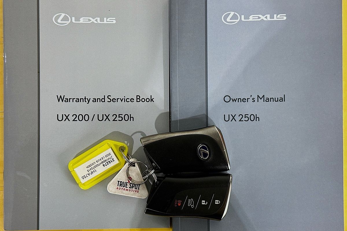 2020 Lexus UX LUXURY HYBRID MZAH10R